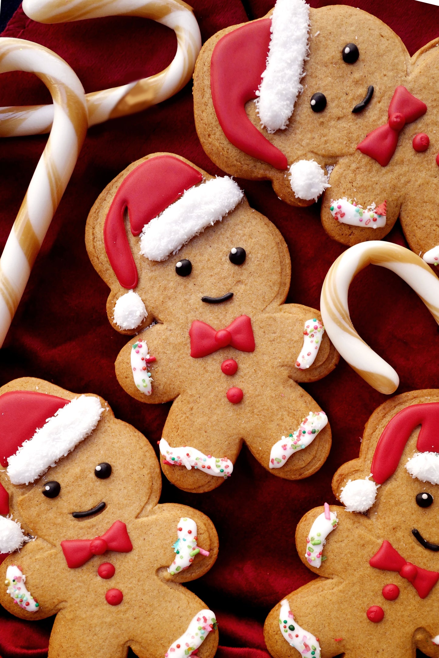 Christmas decorated shortbread