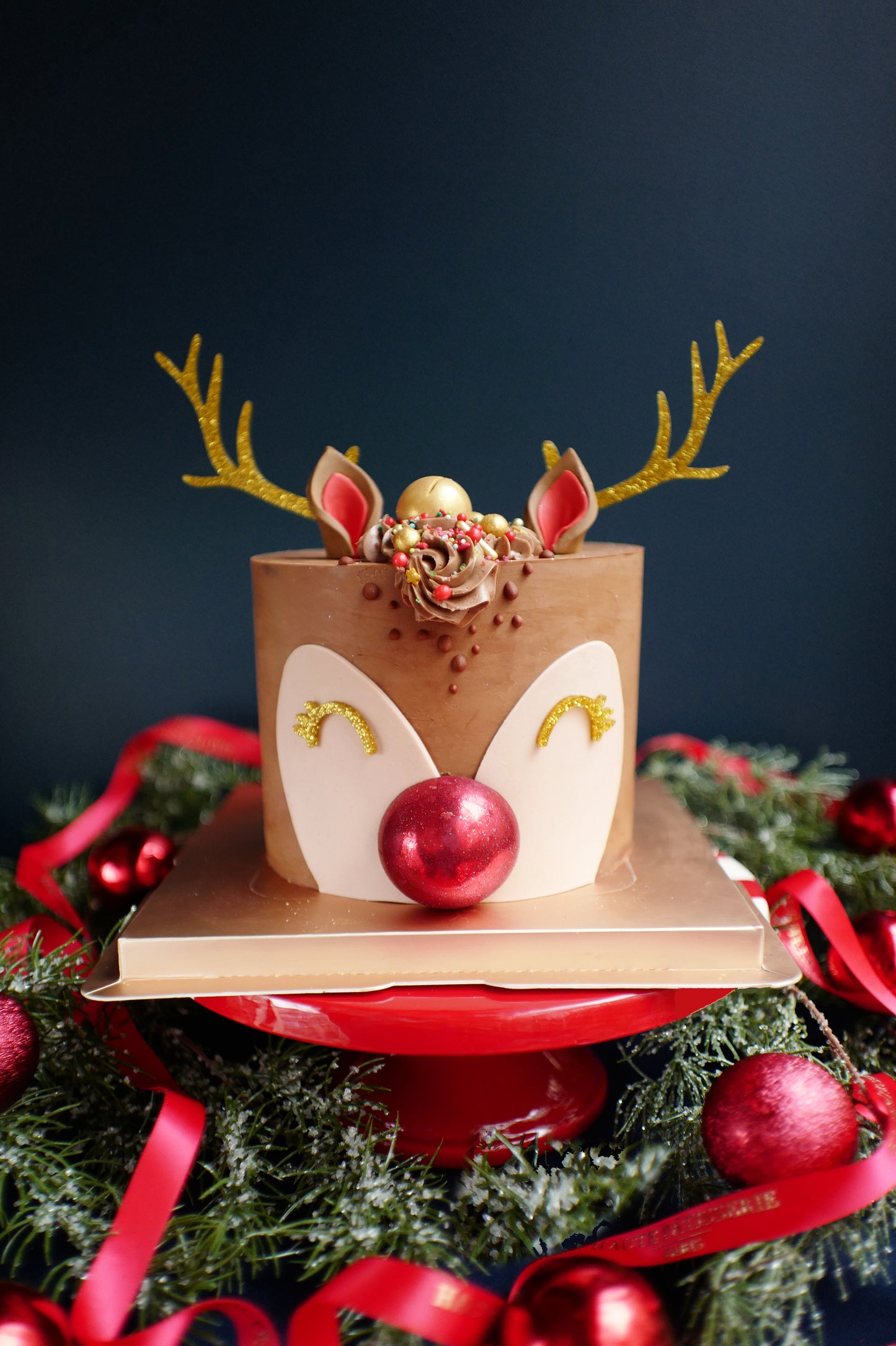 Renne de Noël