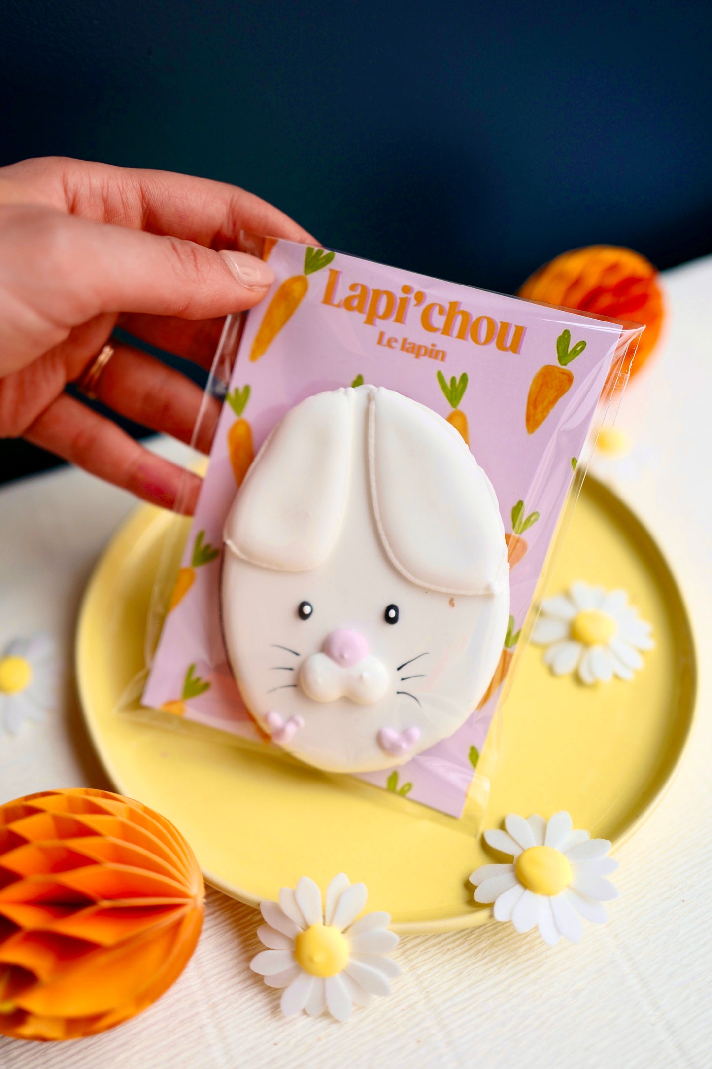Lapi’chou le lapin
