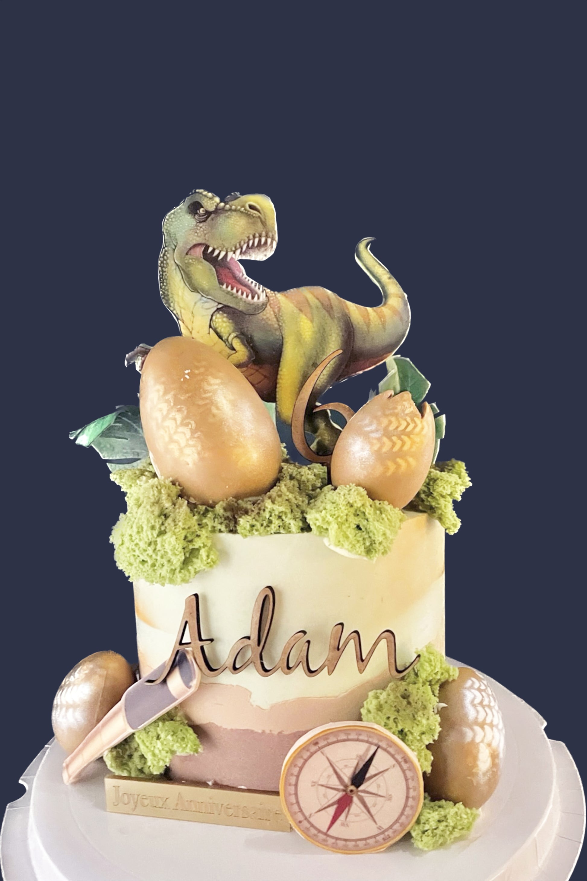 1 Gâteau d'anniversaire Dinosaure, plusieurs personnalisations - Pâtisse et  Malice